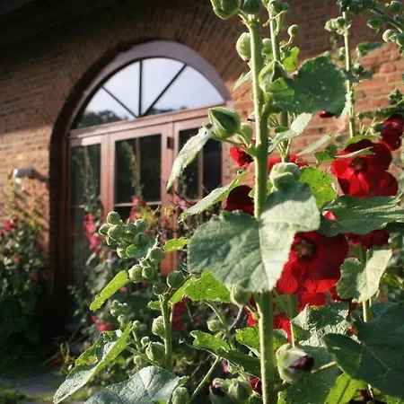 Quellenhof Comfortable Holiday Ferienhaus Glashagen